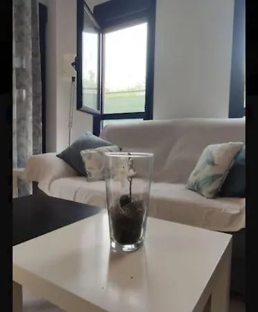 Apartamento Piso Planta Baja Y Gran Patio Con Piscina Comunitaria